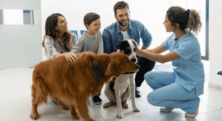 kiedy zabrać psa do weterynarza