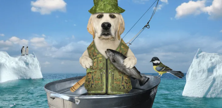 Dlaczego psy pachną rybami?