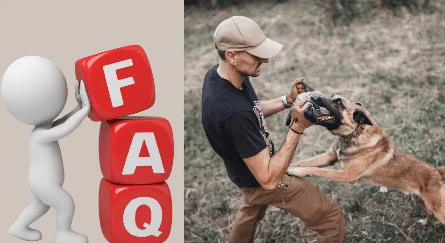 Dlaczego mój pies chce ugryźć mnie lub innych, gdy jest podekscytowany' title='Dlaczego mój pies chce ugryźć mnie lub innych, gdy jest podekscytowany