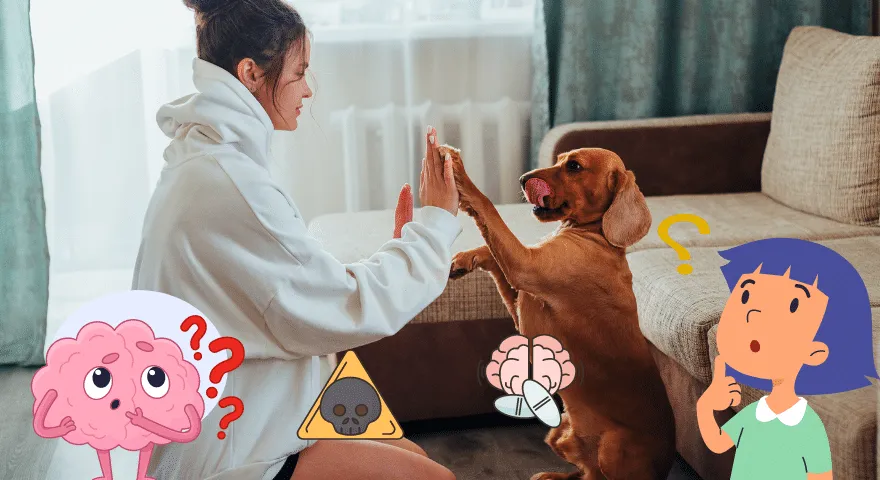 El perro actúa borracho y tambaleante