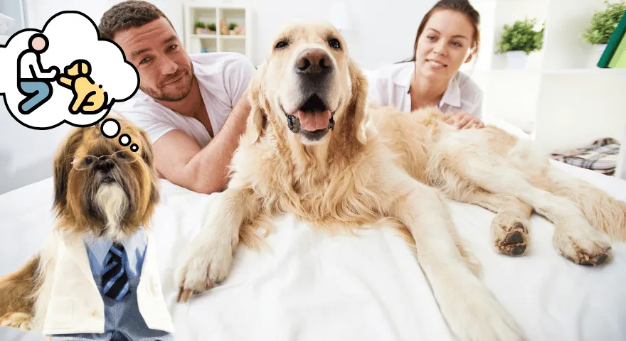 Какво да направите, ако кучето ви блъска партньора ви