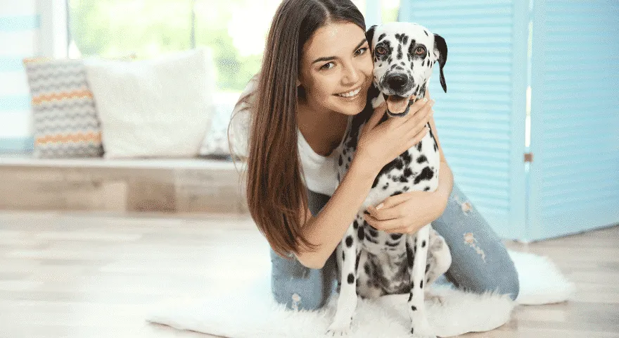 pies i właściciel psa' title='Dlaczego psy drapią dywan?