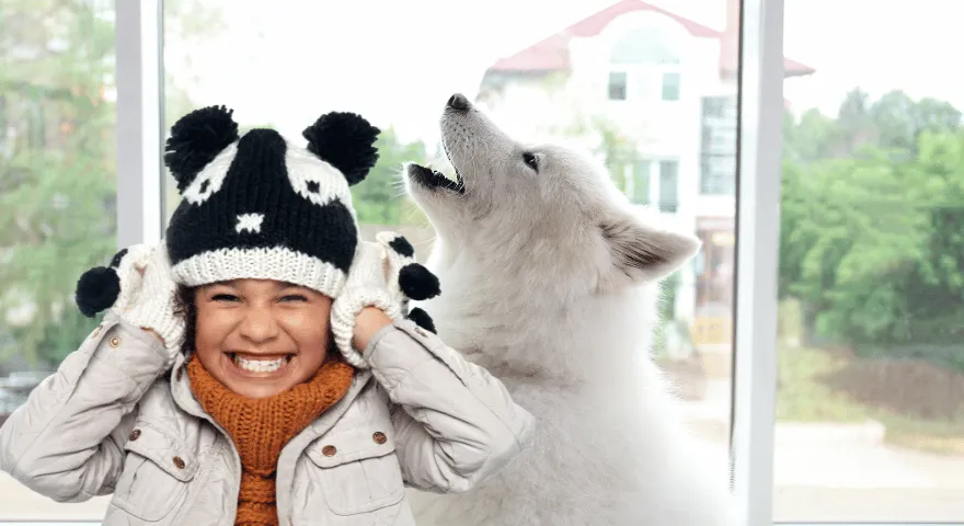 Dlaczego psy wyją i czy można to zatrzymać' title='Dlaczego psy wyją i czy można to zatrzymać?