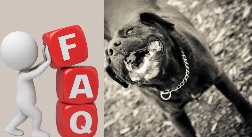 Nenevarni in nevarni razlogi, zakaj moj pes ponoči sopiha