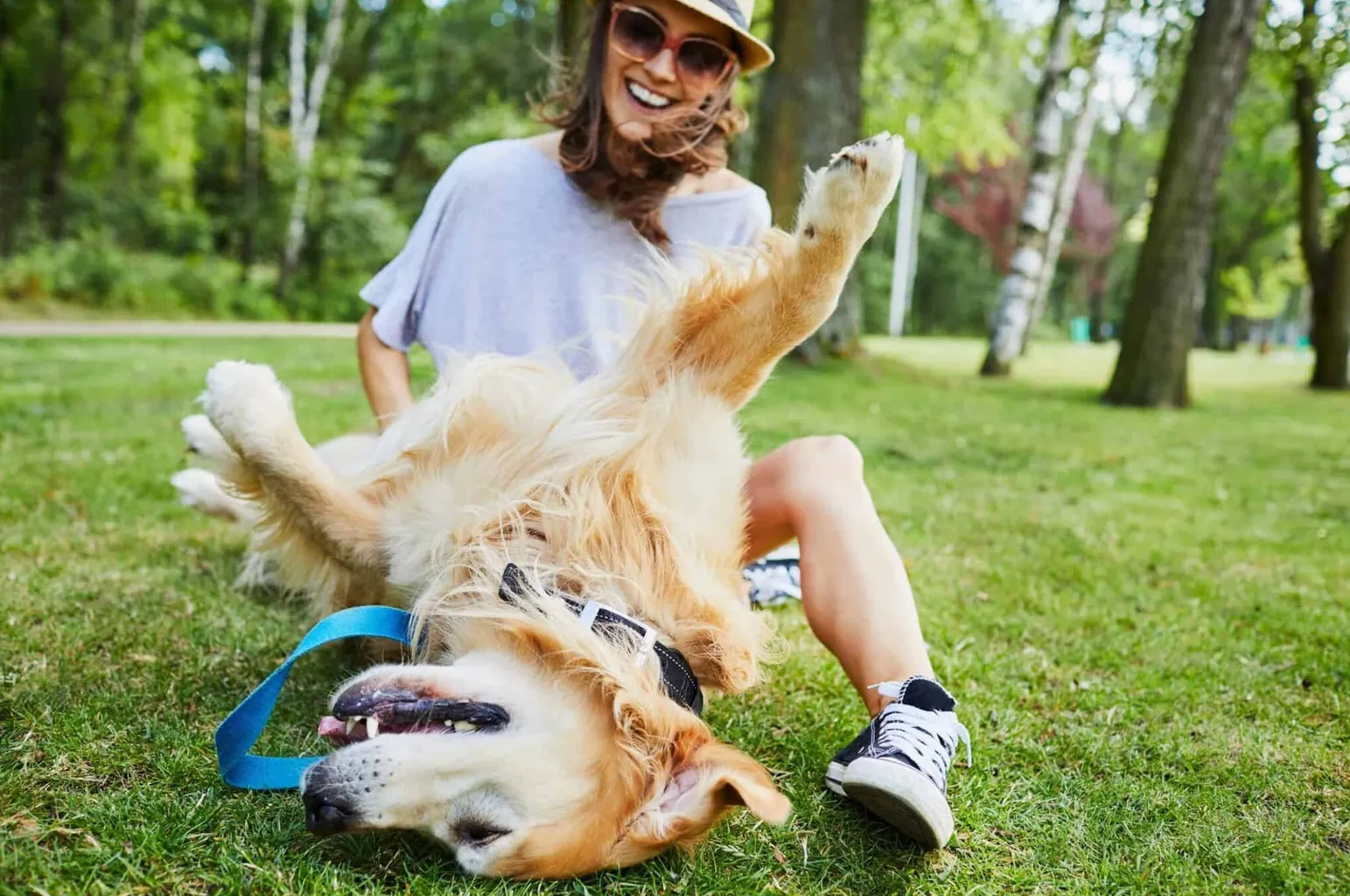 Dlaczego psy lubią głaskanie po brzuchu