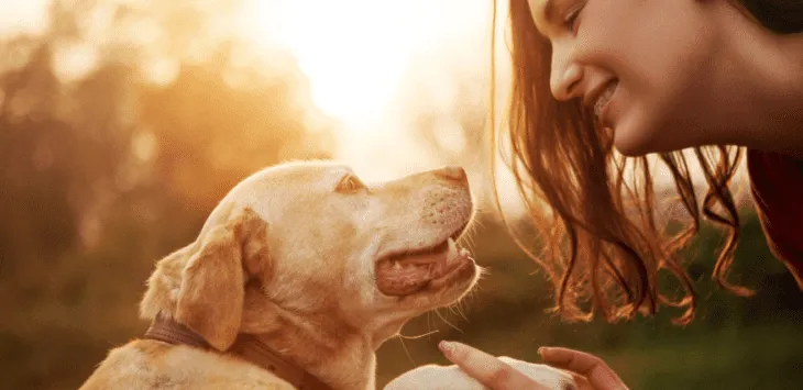 Dlaczego mój pies chce, żebym trzymał jego łapę?