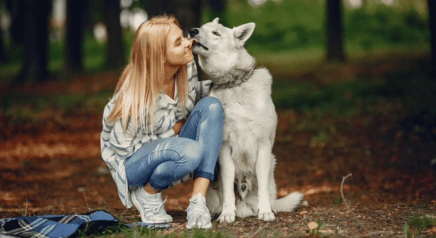 czy mogę zabronić psu dotykania mnie?