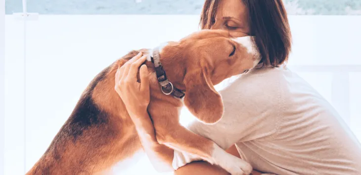 Dlaczego mój pies zawsze musi mnie dotykać