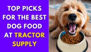 Top Picks for the Best Dog Food at Tractor Supply
