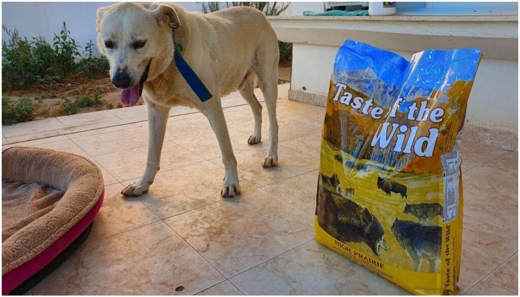 What Are the Top 5 Healthiest Dog Food? Best Dog Food