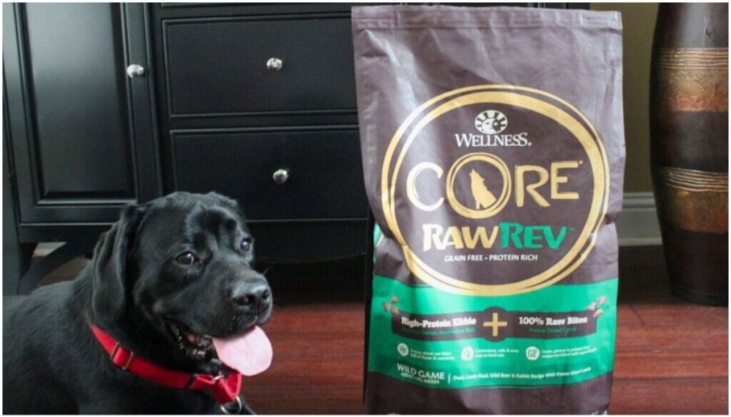 What Are the Top 5 Healthiest Dog Food? Best Dog Food